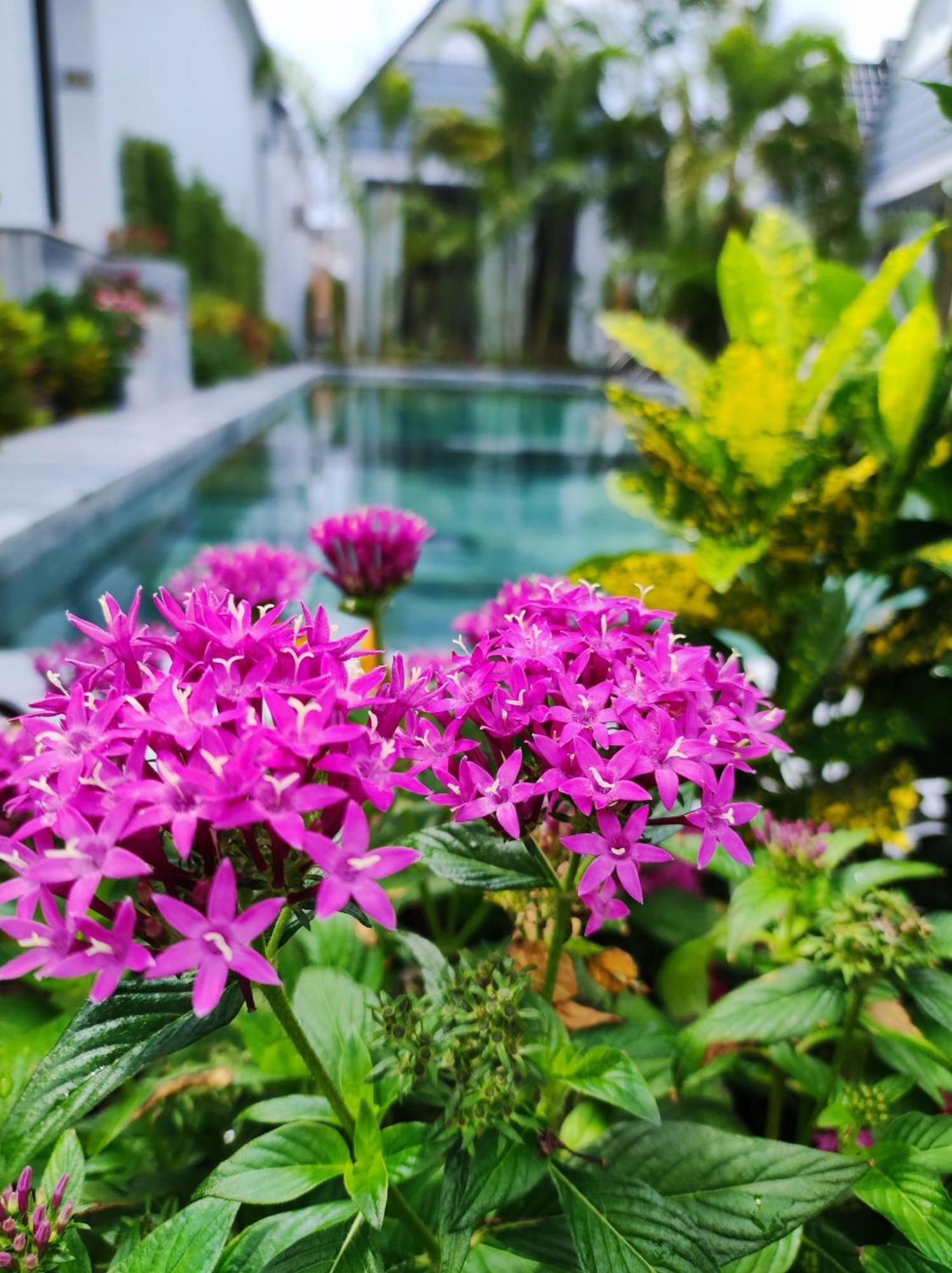 Ngoc Trai Xanh Bungalow Phu Quoc Bagian luar foto