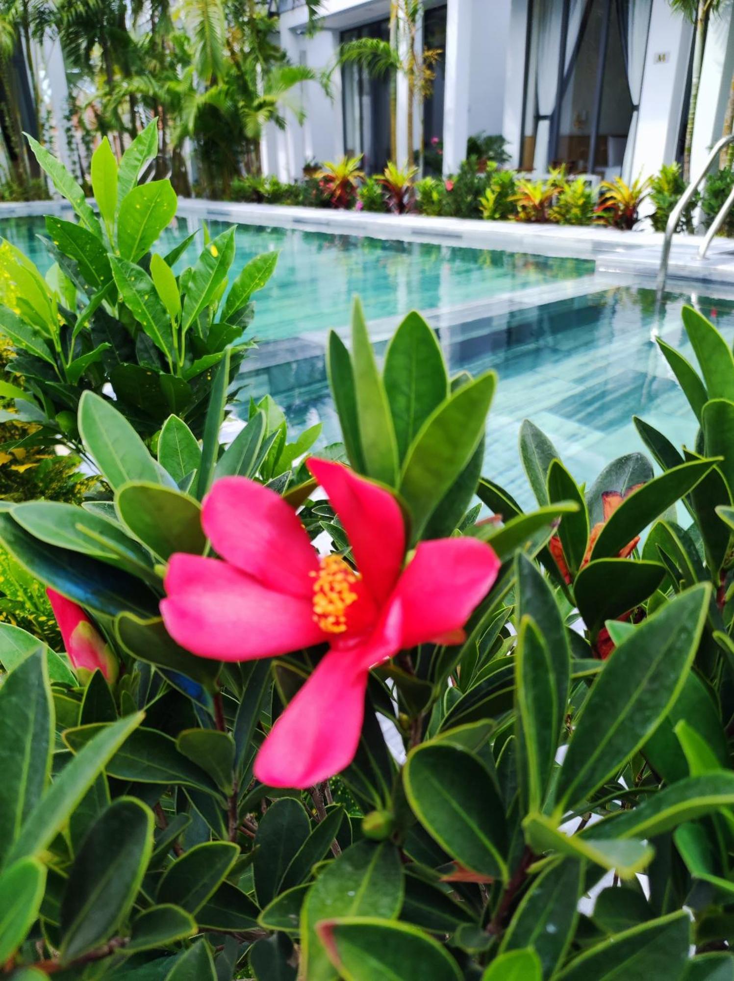 Ngoc Trai Xanh Bungalow Phu Quoc Bagian luar foto